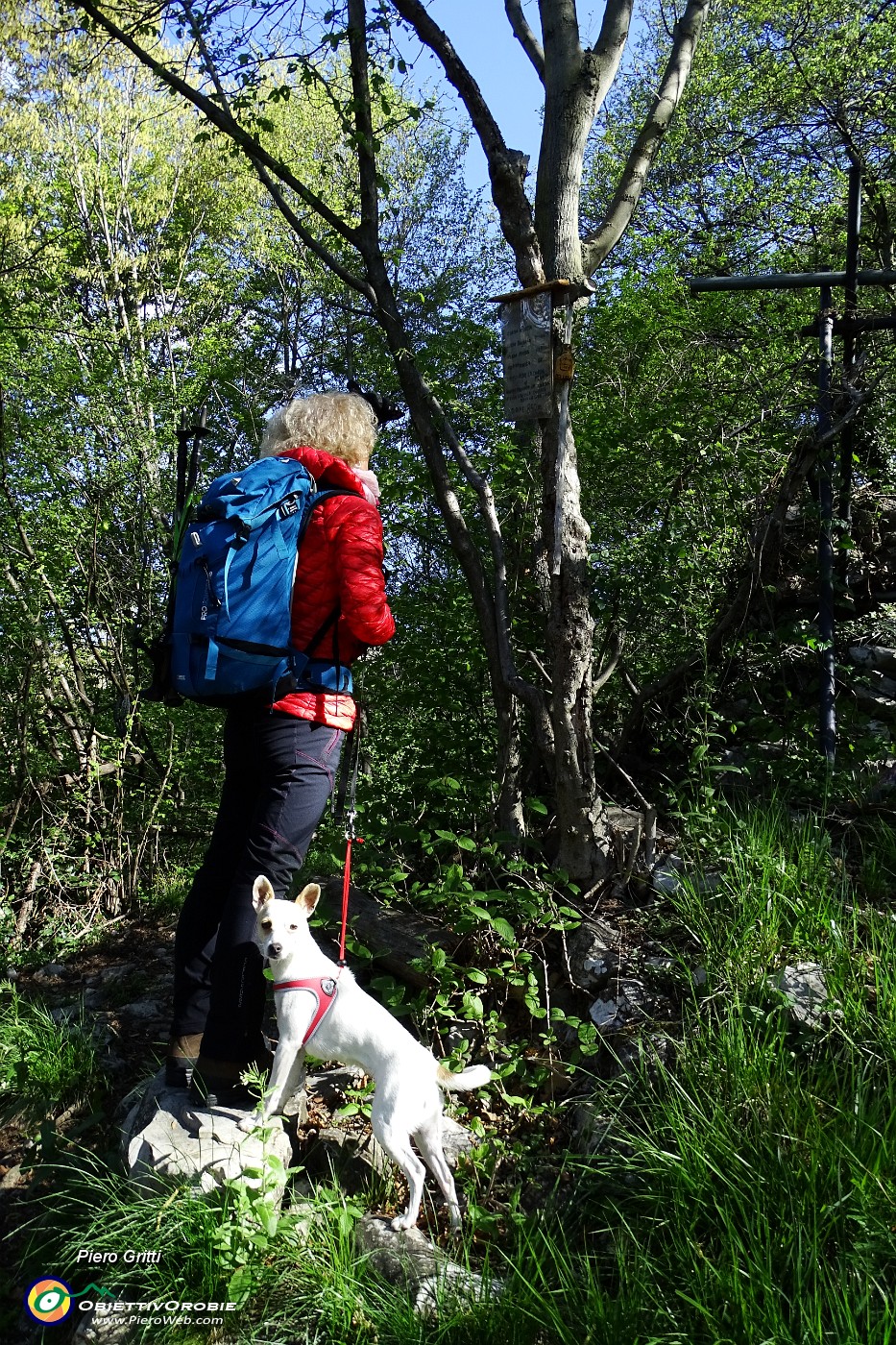 10 Curioso barometro a corda, appeso ad un albero.JPG